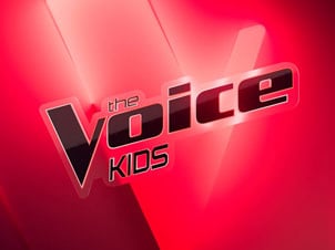 voice